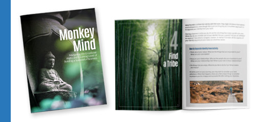Monkey Mind e-book preview