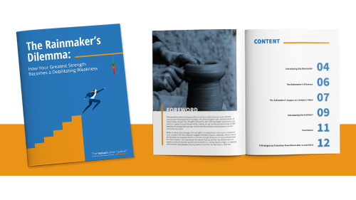The Rainmaker's Dilemma e-book preview
