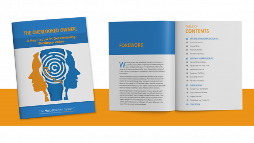 The Overlooked Owner e-book preview